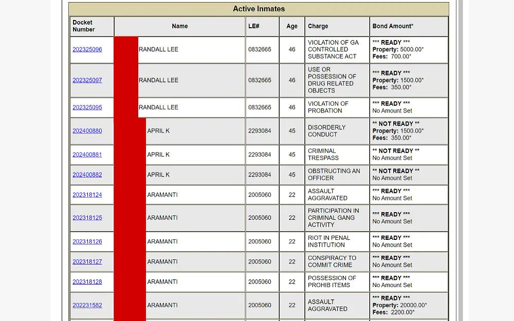 A screenshot displaying an active inmates search showing docket number, name, LE#, age, charge and bond amount from the Clayton County Sheriff’s Office website.